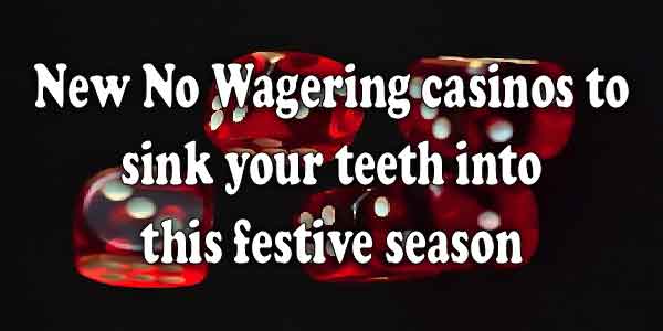 New No Wagering casinos to sink your teeth into this festive season 